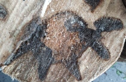 1605960846094-600x450