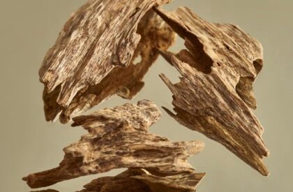 aafcbe84087fbc55e1989cda7fc32382